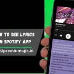 How to see lyrics on Spotify