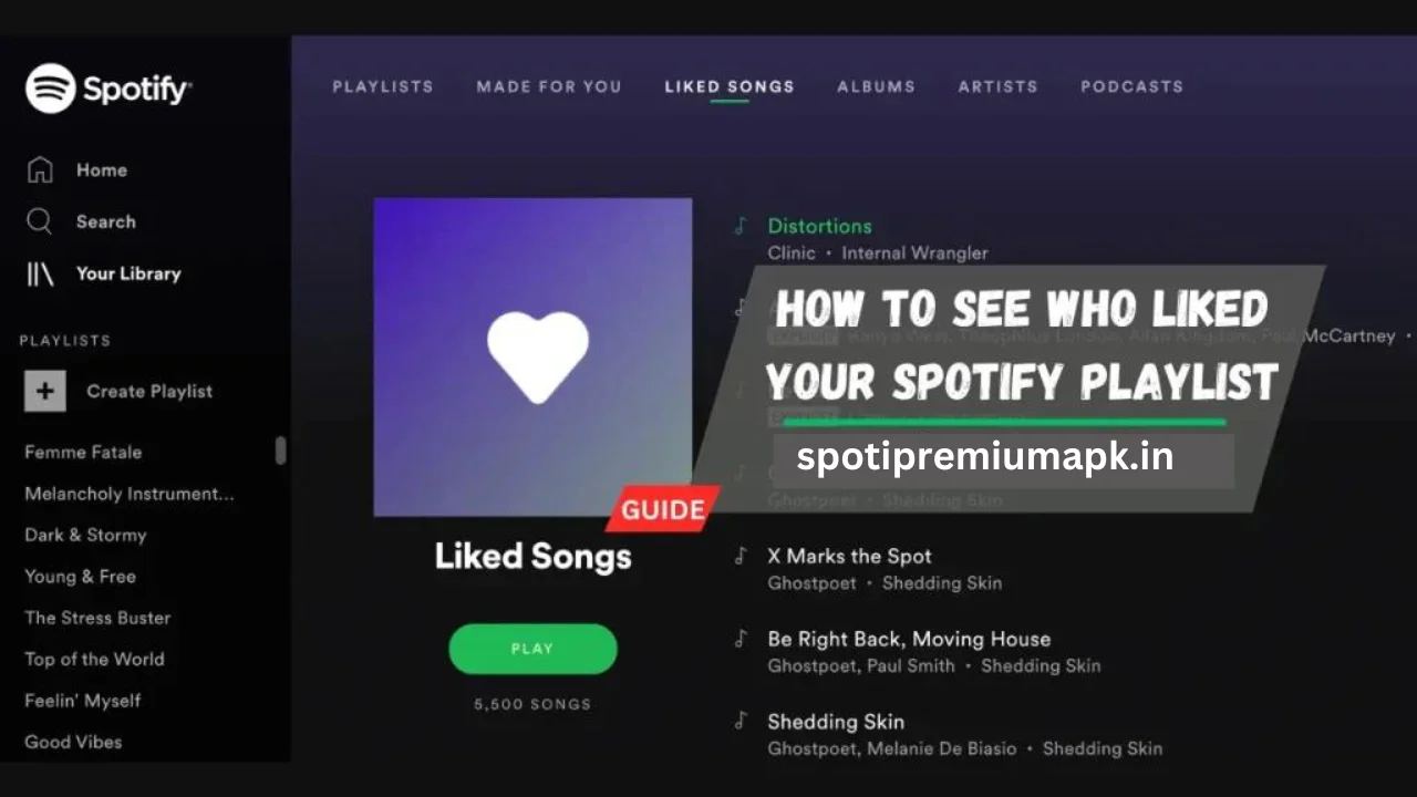 How to see who liked your Spotify Playlist: A Step-by-Step Guide 2024